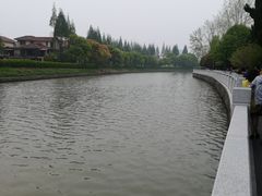 -嘉定紫藤园