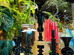 -自由生长植物工作室(深港花卉中心店)