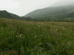 android_upload_pic-野三坡百草畔景区