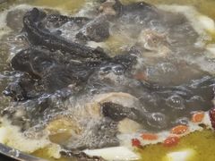 -陈三炖鸡馆(金众小区店)