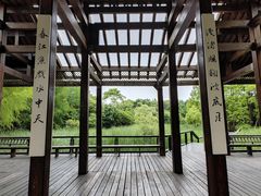 -长广溪湿地公园