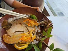 -阳光码头海鲜火锅(玉立路店)