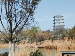 -Supine Bistro溯泮餐厅