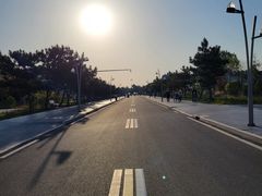 -日照海滨国家森林公园