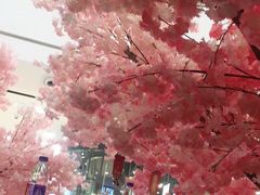 -万达广场(宜宾店)