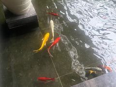 -天津海河悦榕庄·Lobby Lounge大堂吧