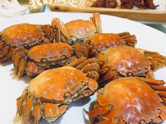 -中南酒店(人民大道中店)