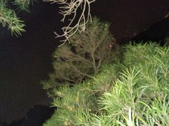 -抖鱼-抖音酸菜鱼(惠福东路店)