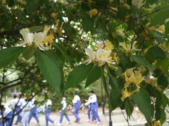 -山东大学(洪家楼校区)