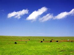-青海湖国家重点风景名胜区