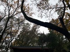 -岳麓山风景名胜区