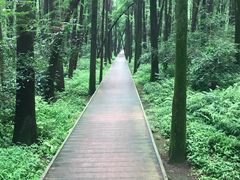 -同里国家湿地公园