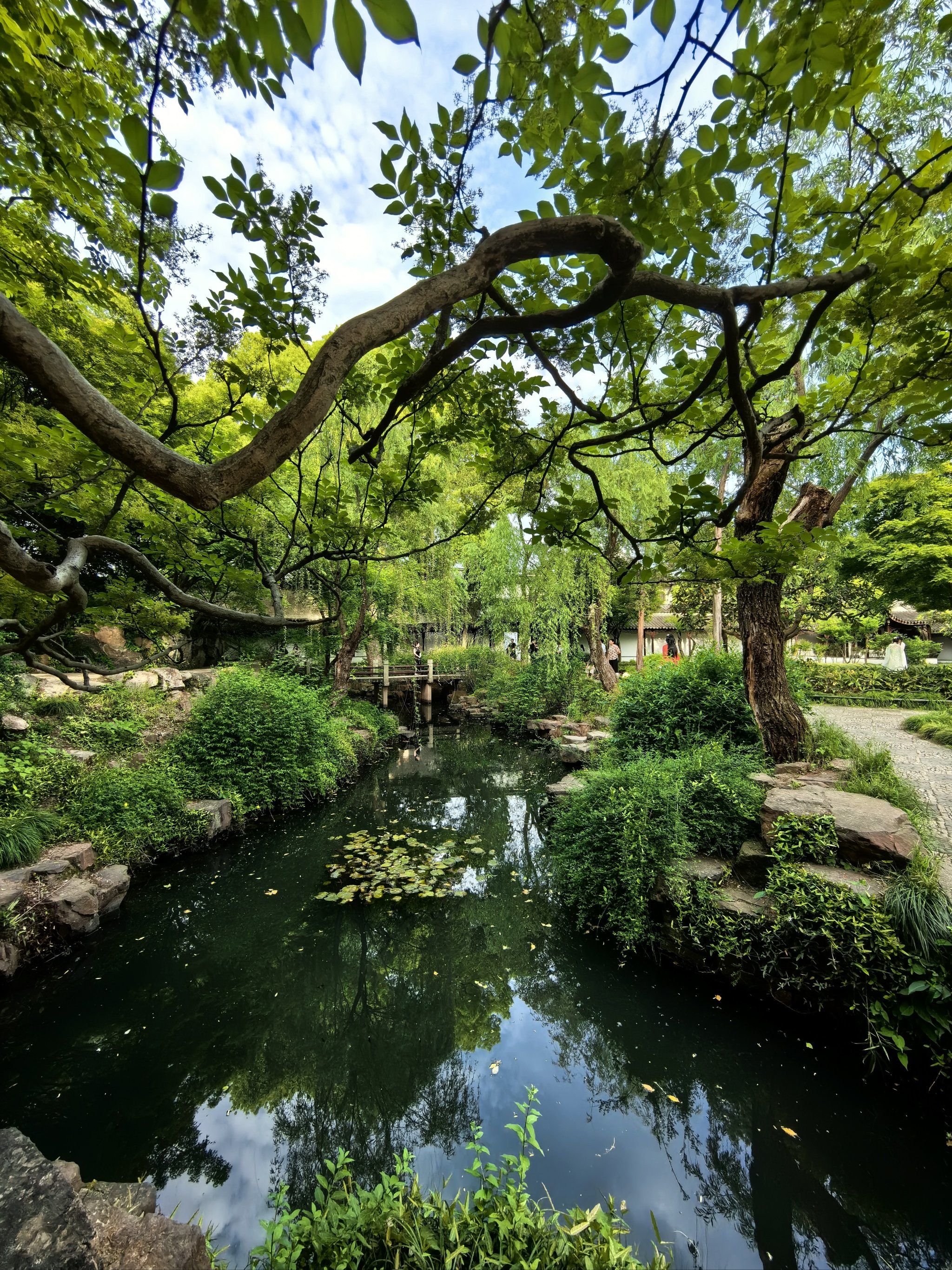 是中国四大名园林之一75

90景点介绍
留园为中国大型古典