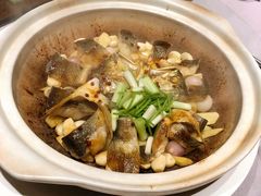 大黄鱼-子福慧(虹桥店)