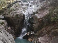 -九龙江国家森林公园