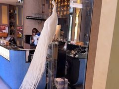-桥边小楼·手工云南菜·古城观景小楼