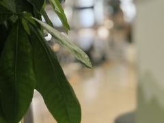 -Isofit 普拉提·婵柔工作室