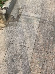 -贝安心月子中心(昌平店)