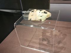 -盘龙城国家考古遗址公园