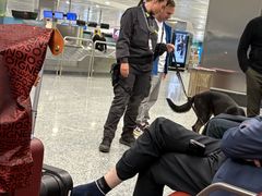 -米兰马尔彭萨国际机场