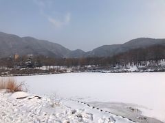 -红楼梦邮局