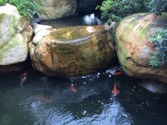 android_upload_pic-上海浦东星河湾酒店