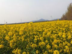 -西海岸生态观光园