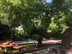 -北京第二实验小学