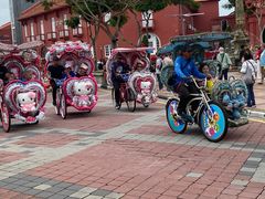 -马六甲鸡场街