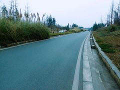 -白鹭湾湿地公园