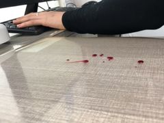 -荔康动物医院(康王北路店)