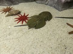 -福州罗源湾海洋世界旅游区