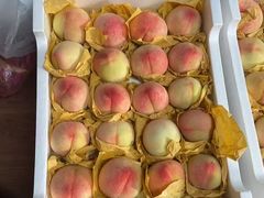 -南汇新场正宗水蜜桃采摘