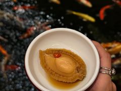 -龙悦湾酒家·八阵鱼生·渔人码头店