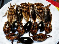 -莫华(锦绣趣园北街店)