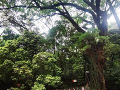 -南华禅寺