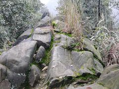-南山植物园