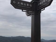 -大姆山草场