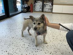 -瑞派康怡24h宠物医院·犬猫医疗中心·微创绝育(瑞景分院)