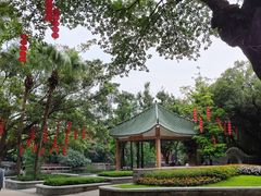 -荔湾湖公园