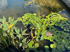 -星巴克(深圳前海企业公馆店)