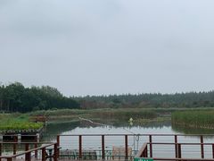 -东平国家森林公园