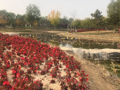 -永定河休闲森林公园