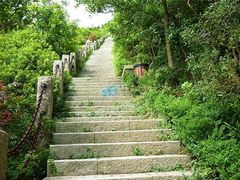 -梧桐山风景名胜区