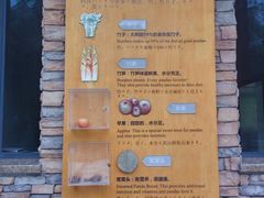 -成都大熊猫繁育研究基地-熊猫厨房