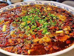 -新概念来凤鱼(璧山店)