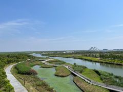 -春花秋色城市公园