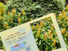 -广州花园酒店