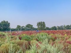 -汉长安城未央宫国家考古遗址公园