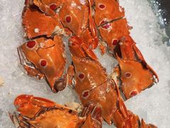 海鲜-长春高新益田福朋喜来登酒店·宜客乐标帜餐厅